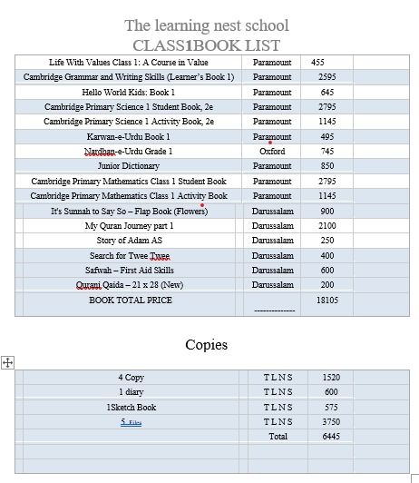 CLASS 1 BOOK AND COPIES PACK